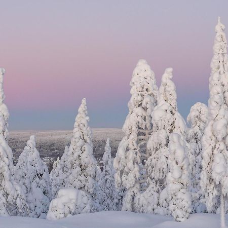 Northern Bliss Hideaway Rovaniemi Exteriér fotografie