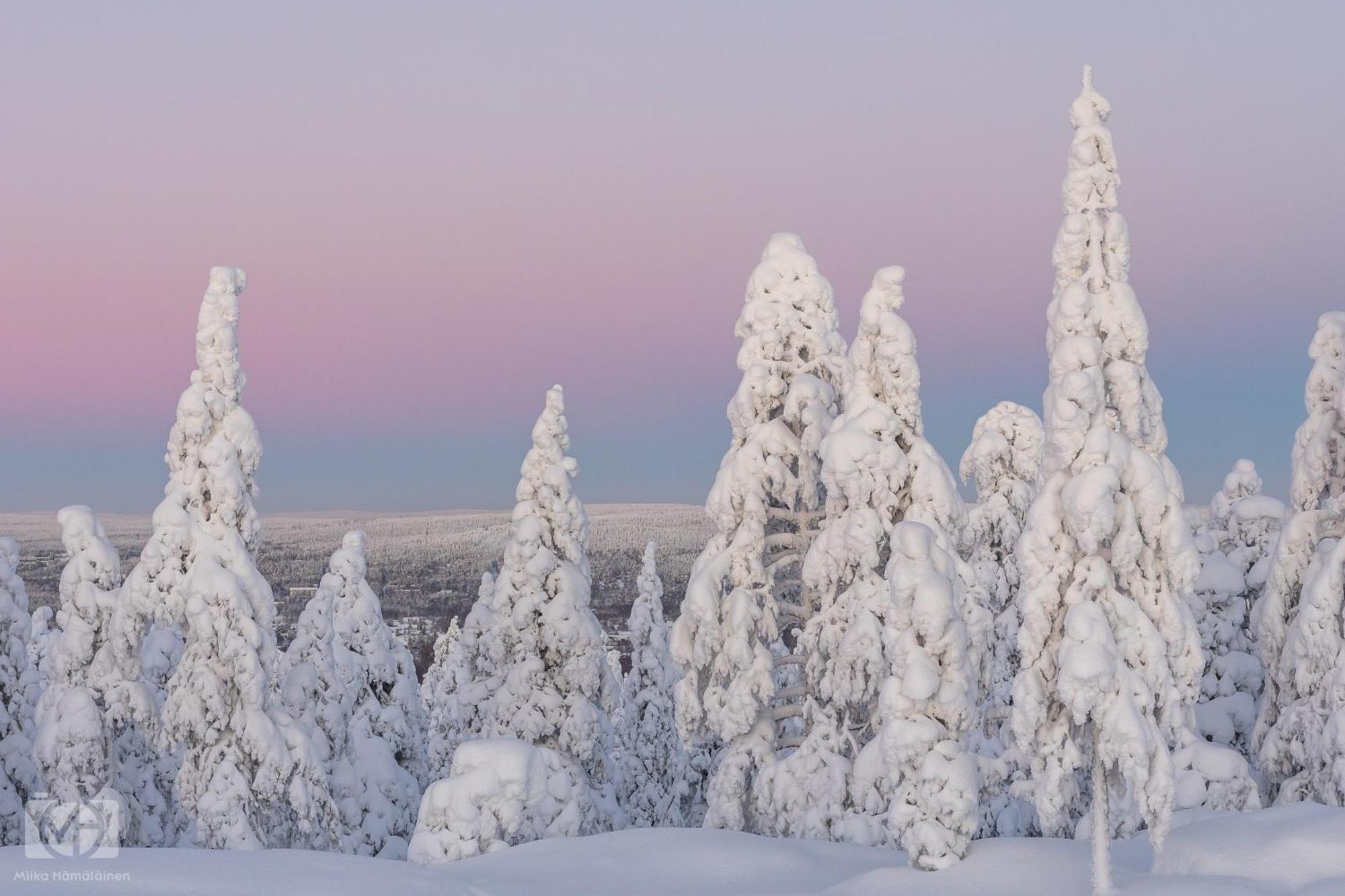 Northern Bliss Hideaway Rovaniemi Exteriér fotografie